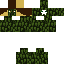 SPRUCE LEAVES | Minecraft Skin