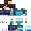 mlm flag | Minecraft Skin