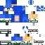 Boscage Maze Sonic From Sonic Prime | Minecraft Skin